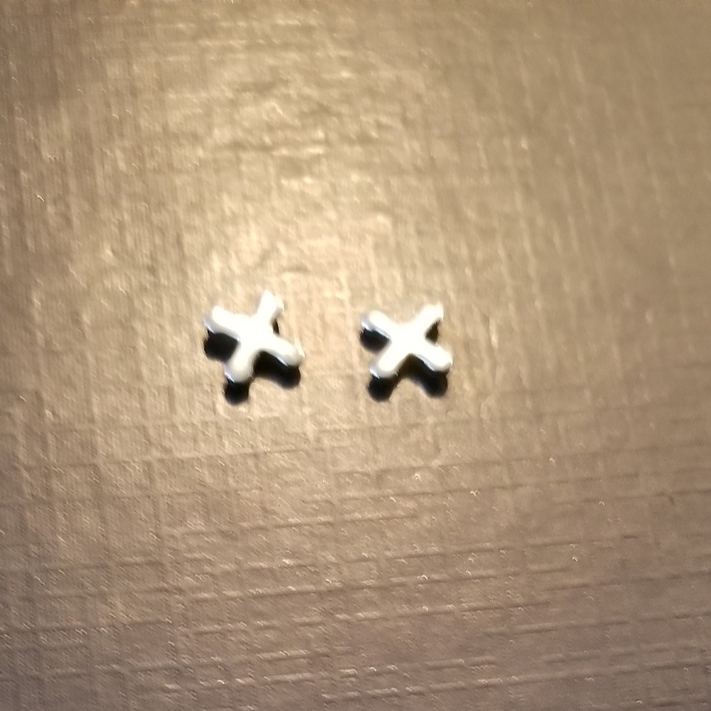 NWT Stainless Steel Stud X Earrings
